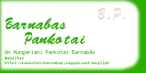 barnabas pankotai business card